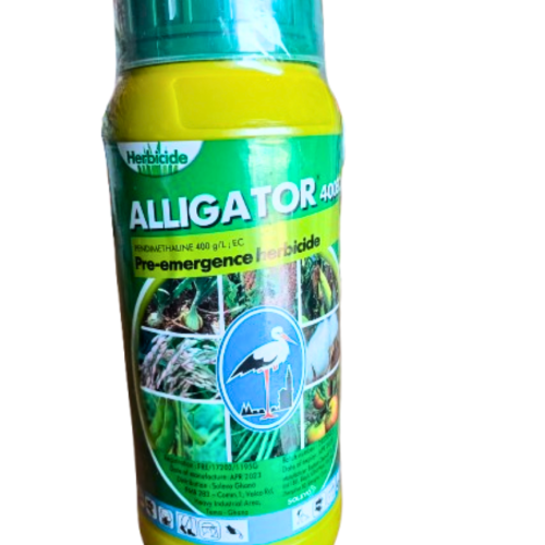 Alligator 1L